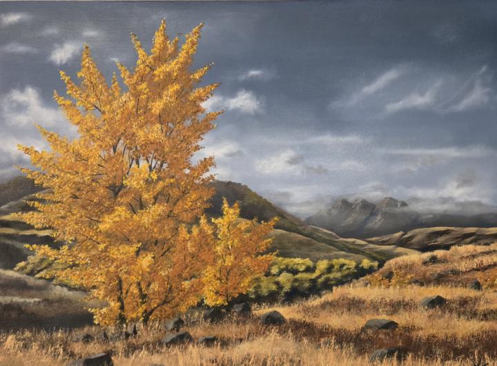 Yellow Aspen