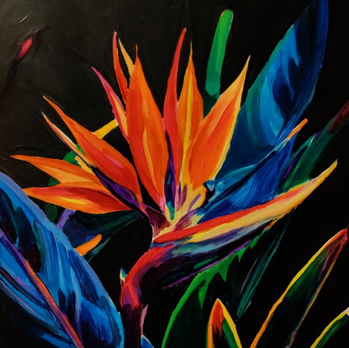 Bird of Paradise
