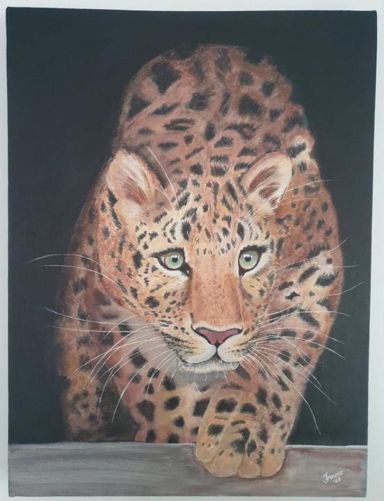 My Leopard