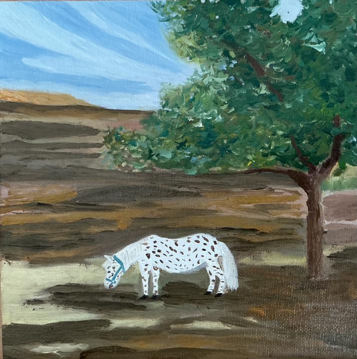 Painting no 6!