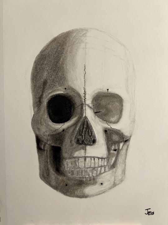 First skull drawing. 