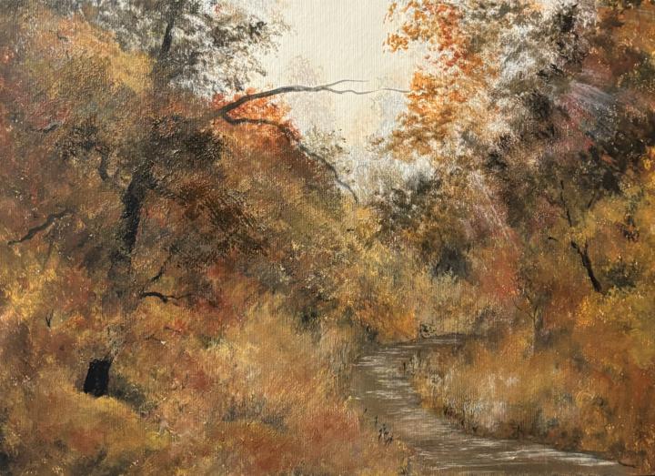 The Colours of Autumn 