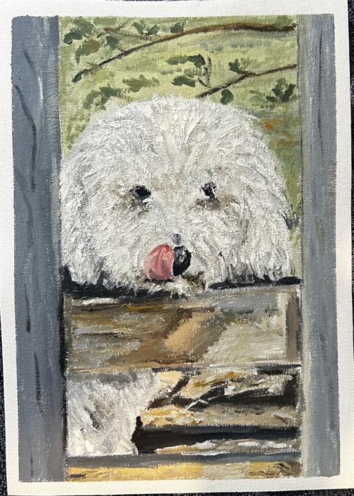 First pet portrait
