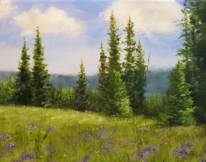 Montana Alpine Landscape