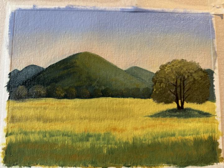Beginner oil painter