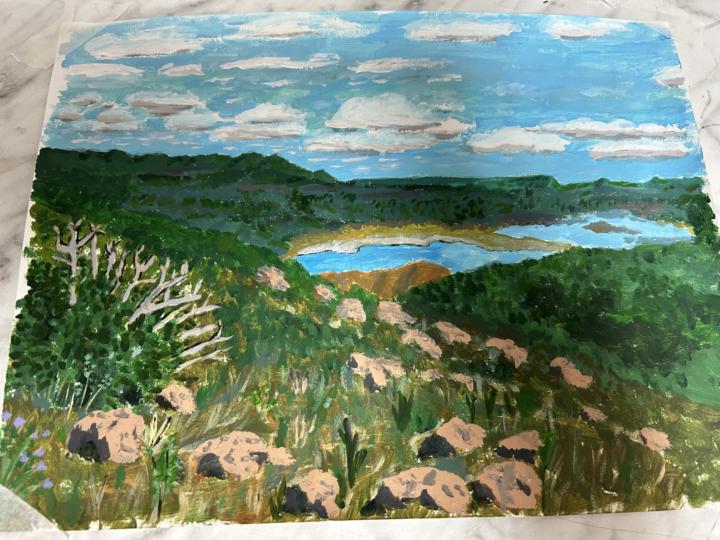 Started a painting…