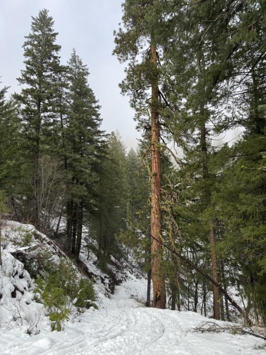 Sketching outdoors this morning 