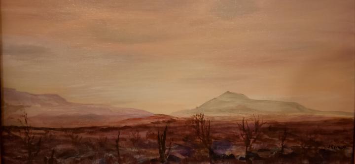 Wandering away into the fading desert dusk