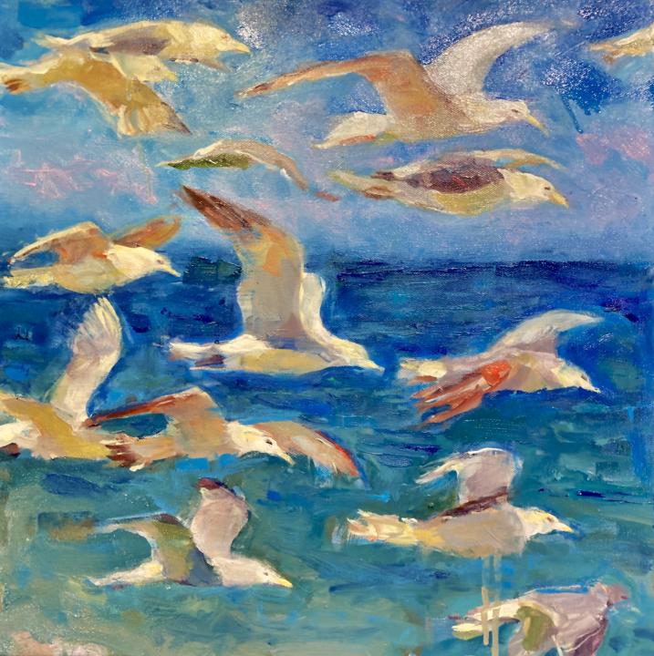 Gulls
