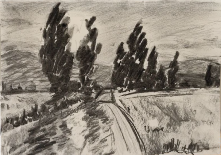 Poplar silhouettes in a golden hour. Sketch