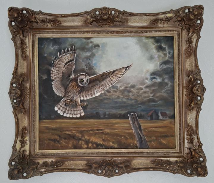 Owl