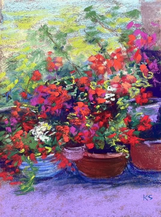 Azaleas 