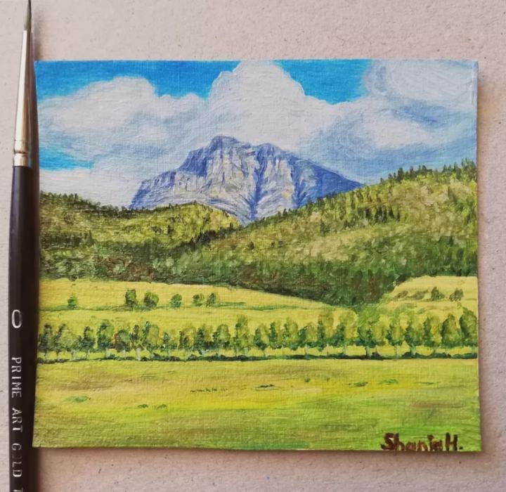 Herold, Western Cape - South Africa 