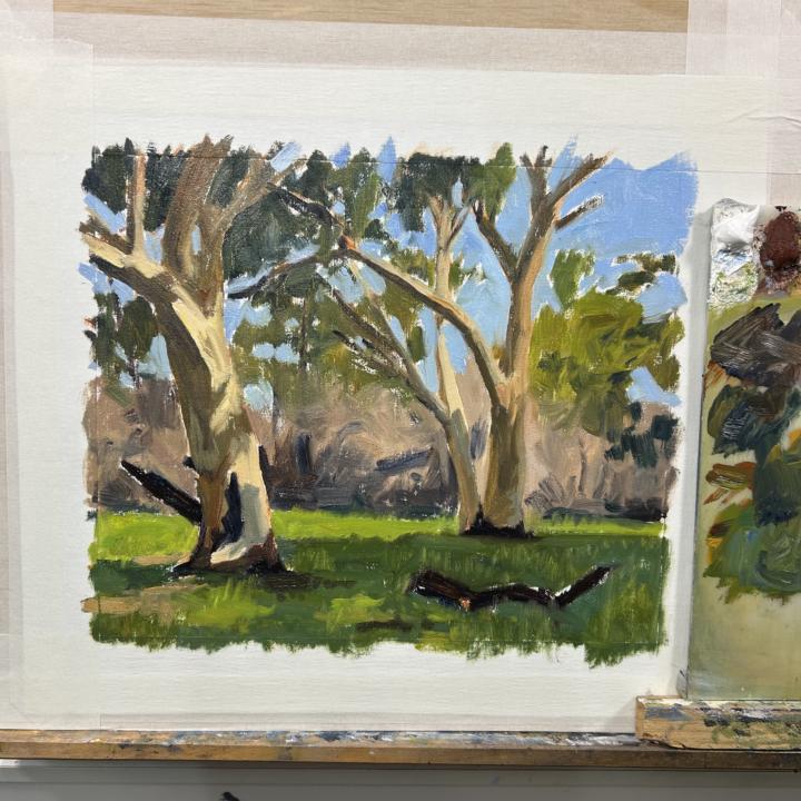 The Start of a New Painting - Painting Gum Trees
