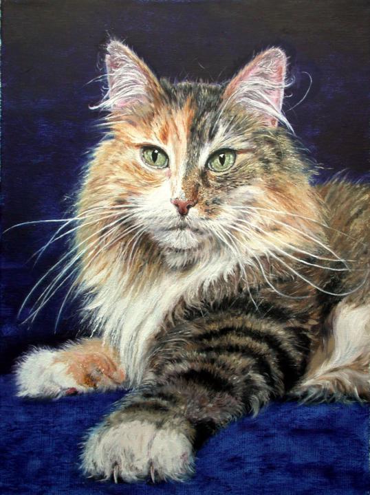 Cat. Oil on canvas