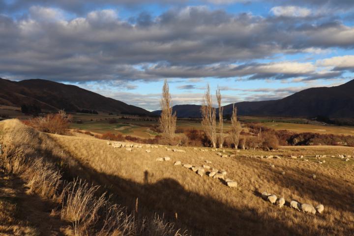 We Are Live in 30 Minutes