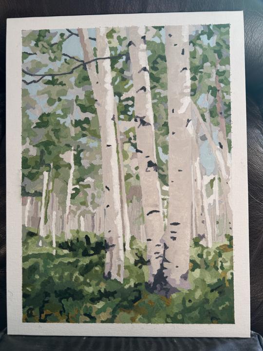 birch trees no. 2