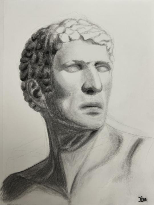 Just completed my first charcoal drawing. 