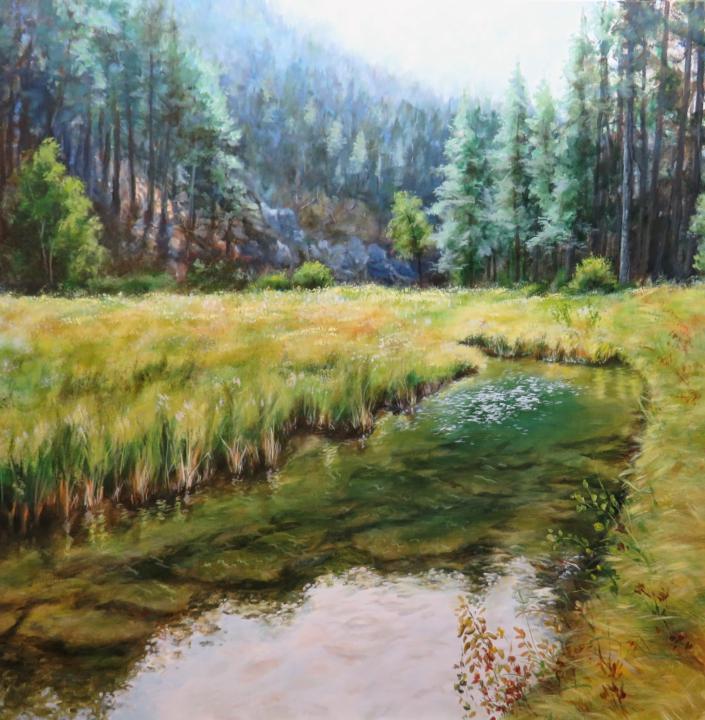 South Dakota Landscape