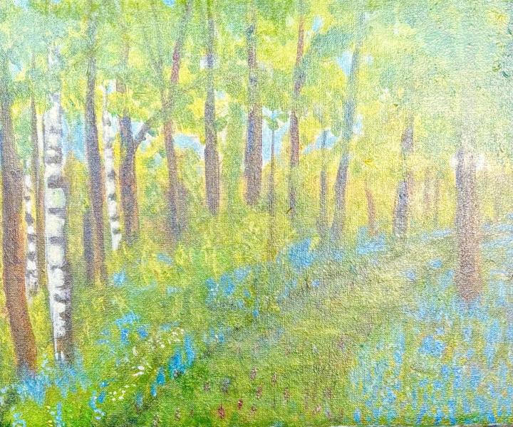 Spring in the Woods
