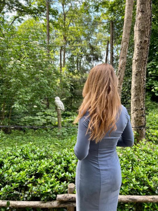 Louisa van der Klift