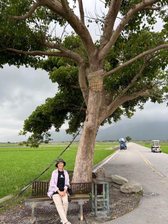 王 雅  莉