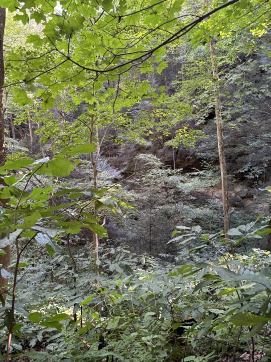 Nature