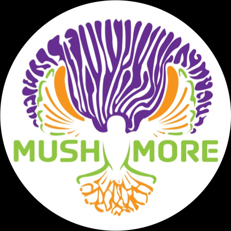 Mushmore Coop Ecolução