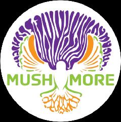 Mushmore Coop Ecolução