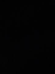 Randine Maxine Newson