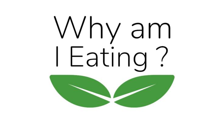 Why am I Eating?- Institute