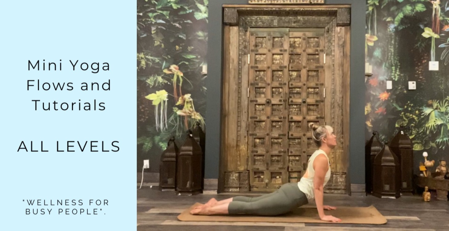 🌿 Mini Yoga Flows & Pose Tutorials