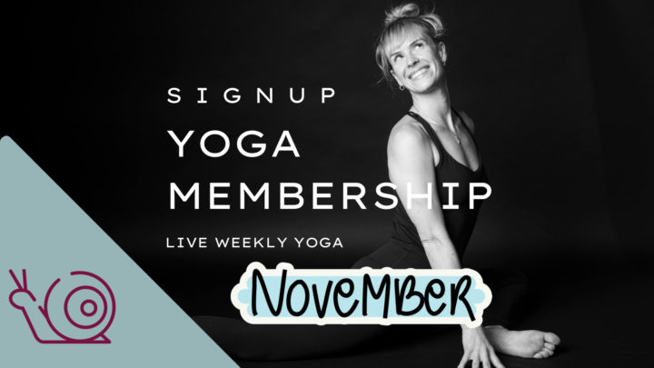 🕉️Join! Live Yoga Starts Nov 4th🕉️