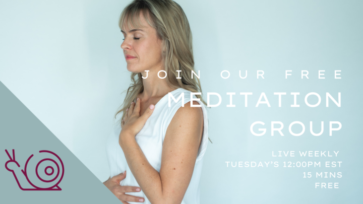 Topic: 🐌 Meditation (free) TTS - Tuesdays 12pm EST [15 mins] 