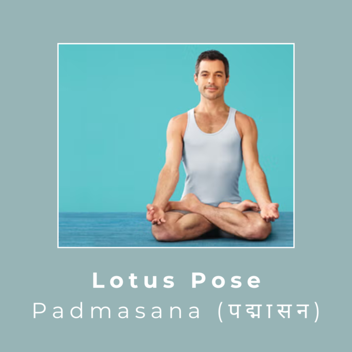 #3 Day 3 of 5 - Meditation Challenge (how you sit)