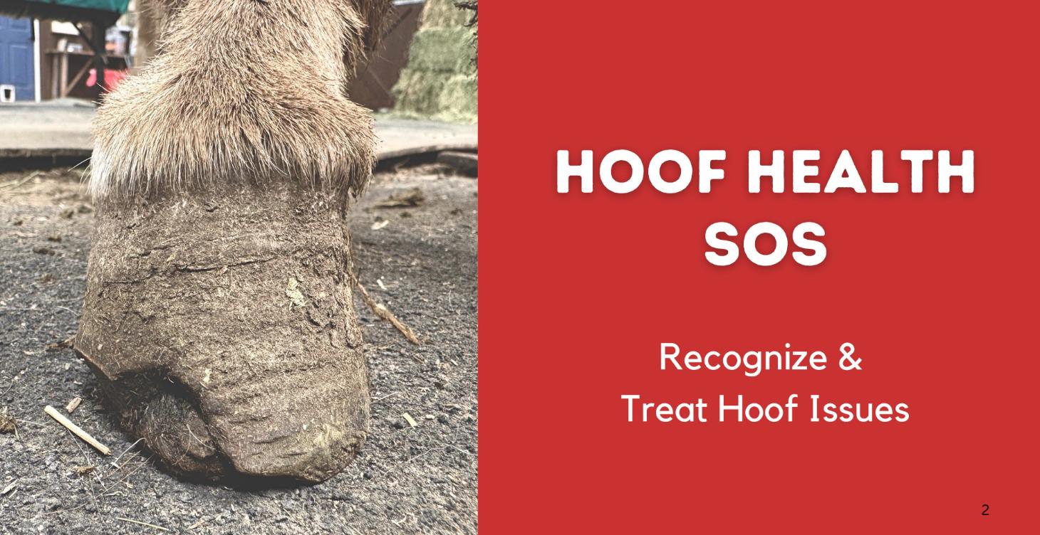 Hoof Health SOS