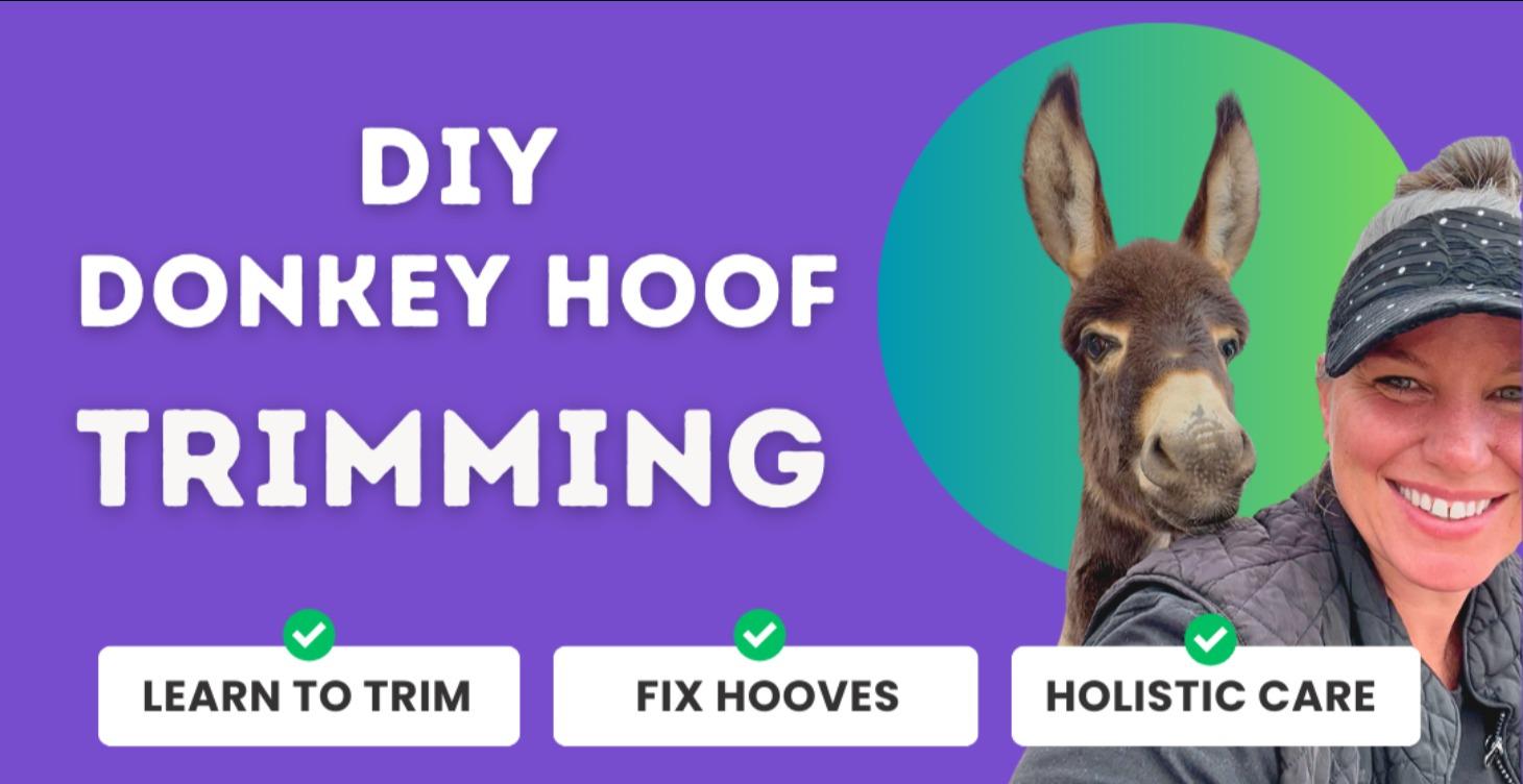 DIY Donkey Hoof Trimming