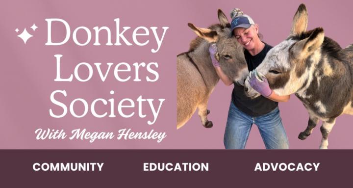 Donkey Lovers Society 🫏 💕  