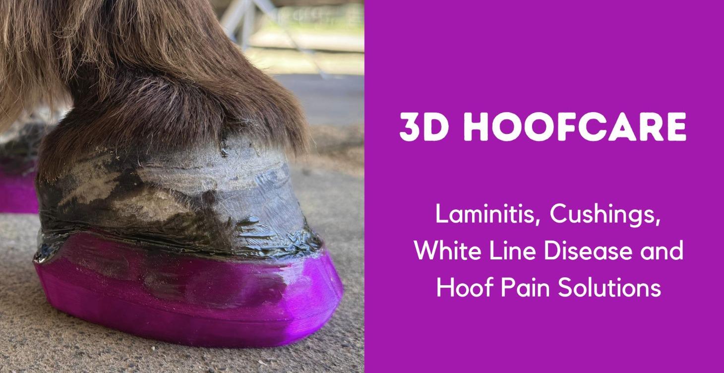 3D Hooofcare