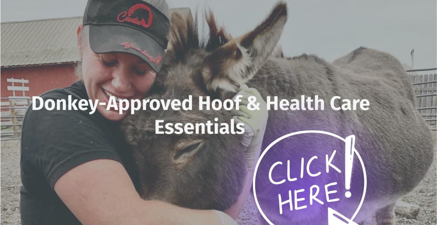 SHOP - Donkey Care Favorites