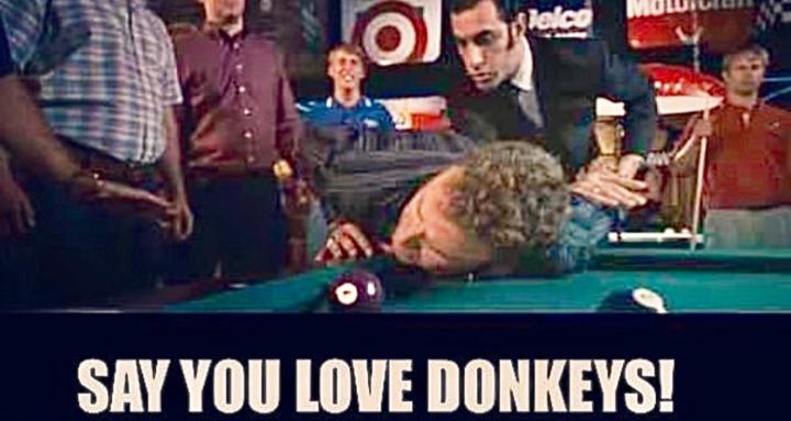 Say You Love Donkeys! 
