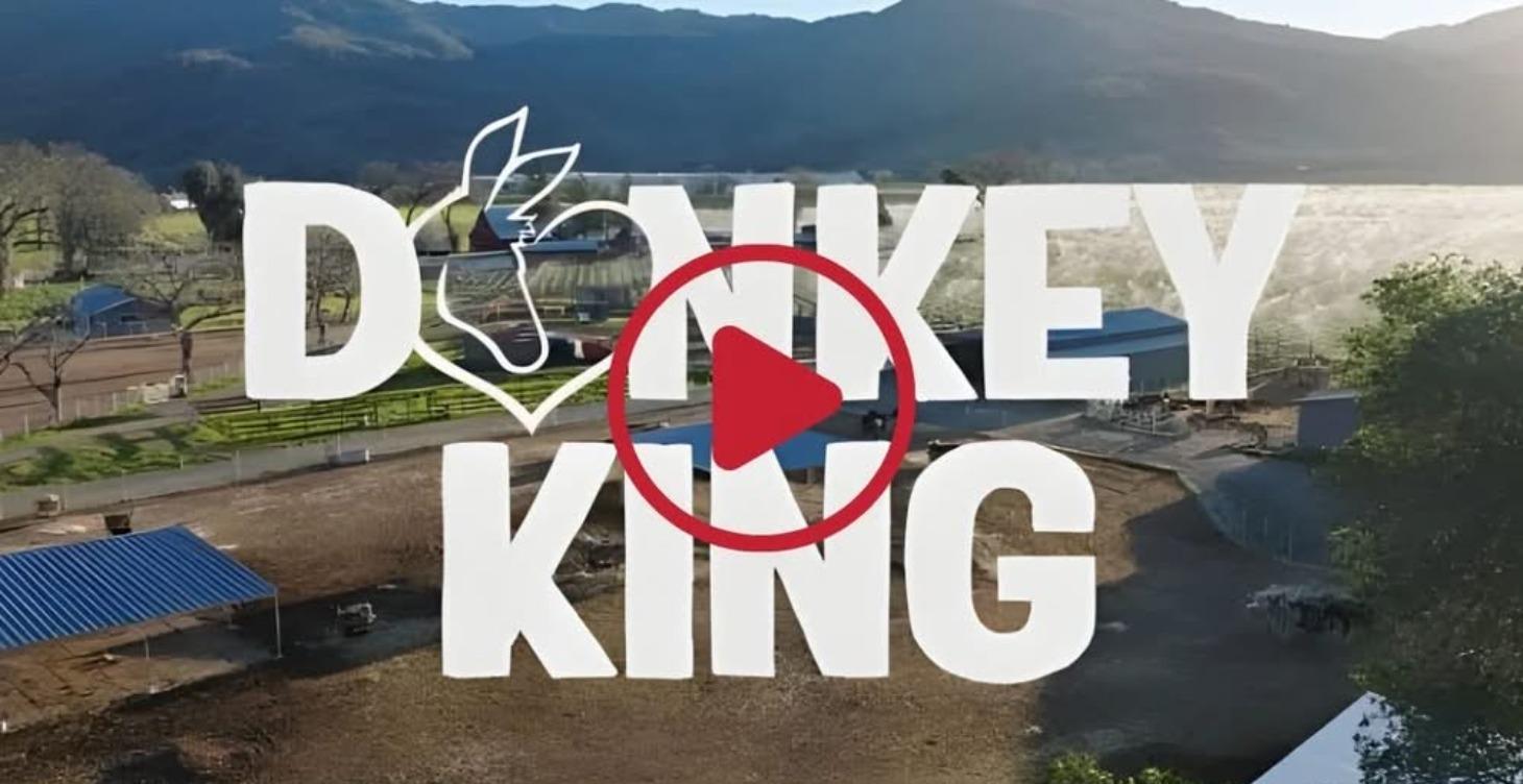 Watch DONKEY KING Here!