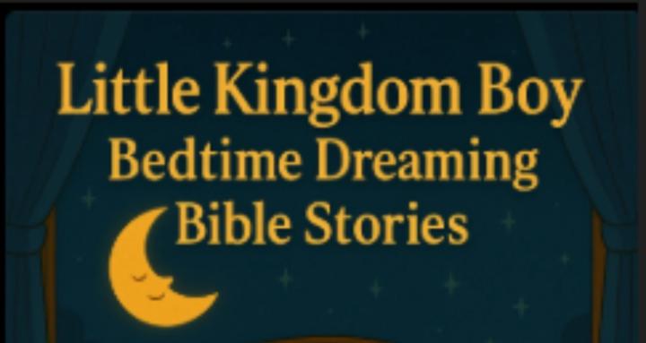 The Little kingdom Boy Series