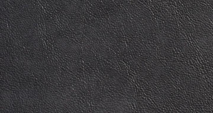 The Jackal and Shepherd