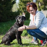 Stéphanie Cuvillier