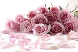 איילת טרבלסי