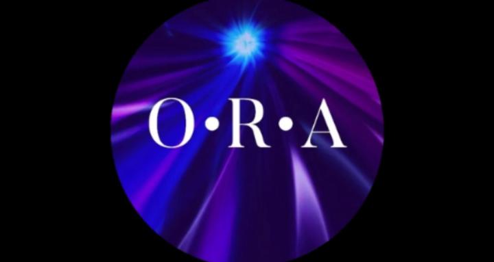  O•R•A Custom Hair Application