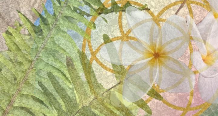 ILY= In Love Yourself