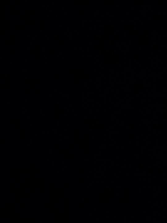 Stefan van Schooneveld