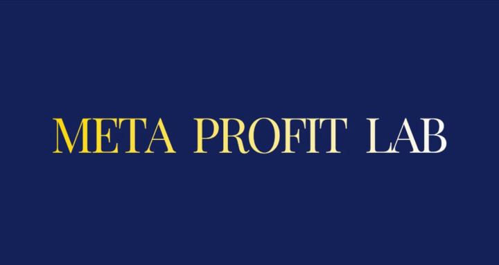 Meta Profit Lab